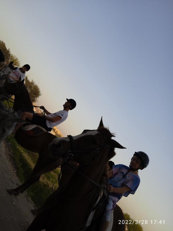 Al Salam Camp Campeggio Luxor