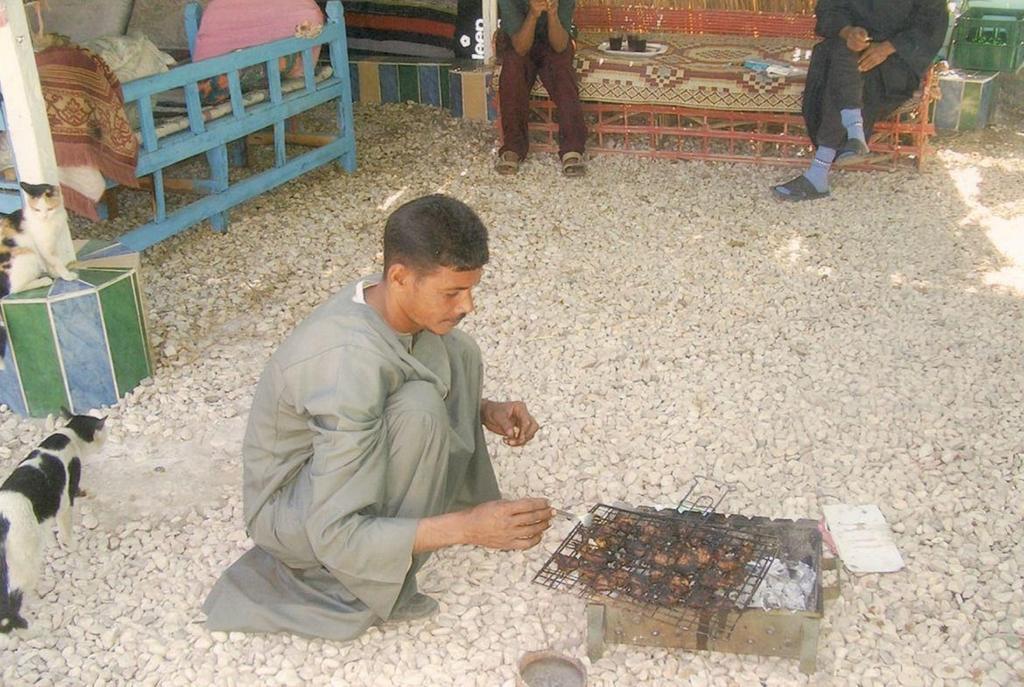 Al Salam Camp الأقصر