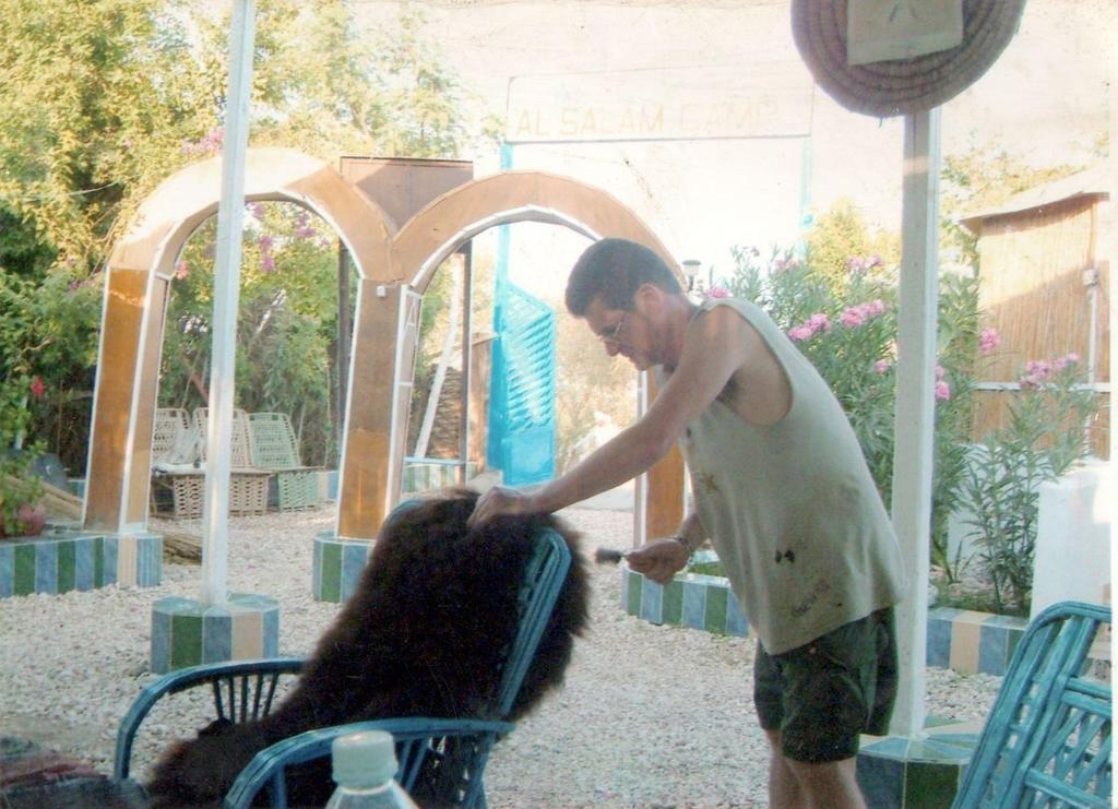 Al Salam Camp Луксор