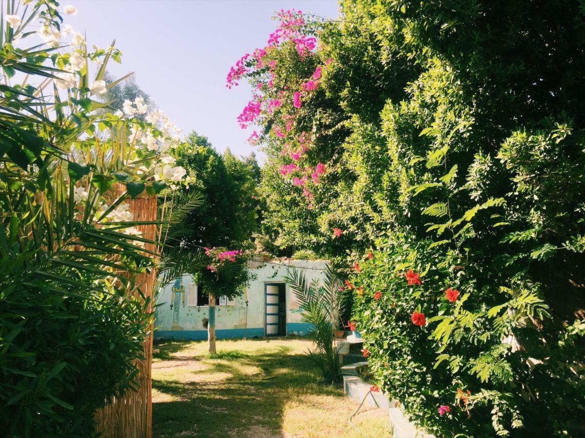 Кемпінг Al Salam Camp Луксор