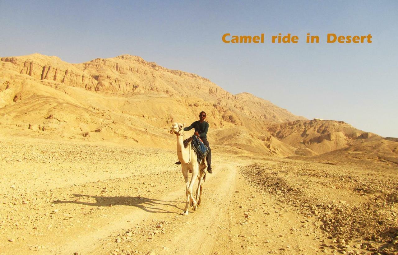 Al Salam Camp Luxor